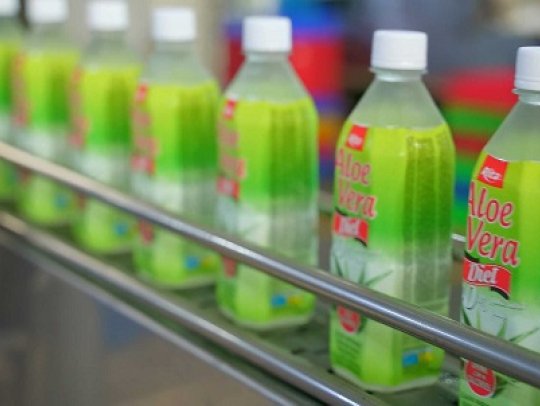 Insights into the Rita's Beverage Packaging Production Line