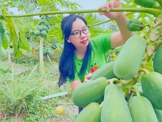 The Mekong Delta Is The High-Quality Raw Ingredients Area Of Rita