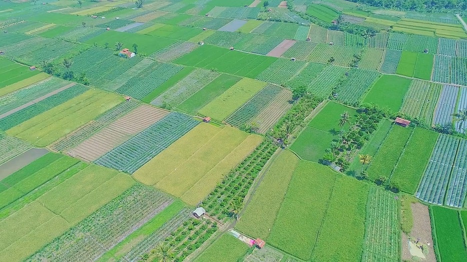 Mekong Delta Vietnam