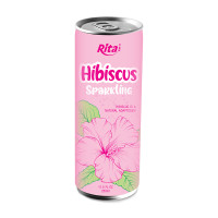 250ml_natural_adaptogen_Hibiscussparklingdrink_1