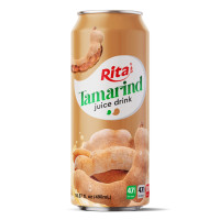 fruit_tamarind_juice_combinations_drink_490ml